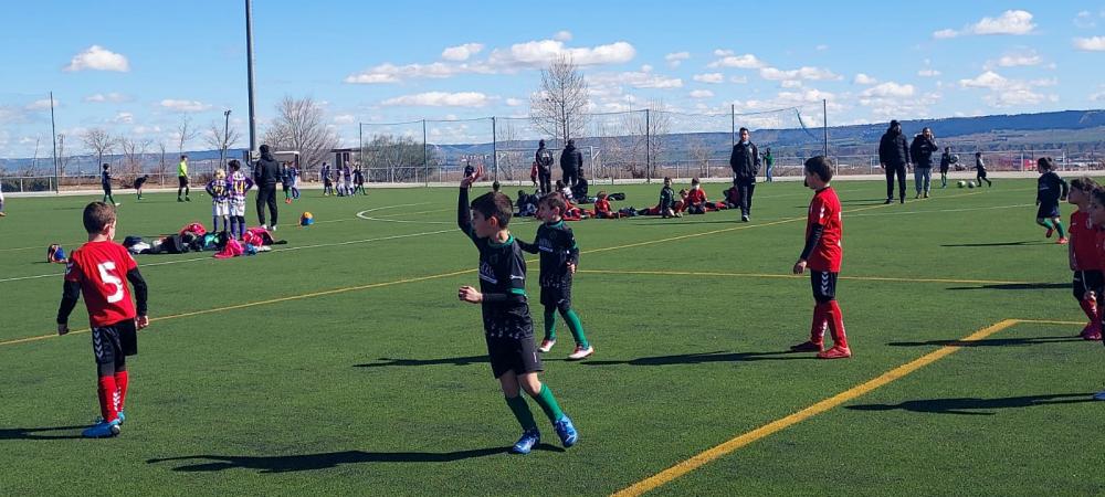 Campeones